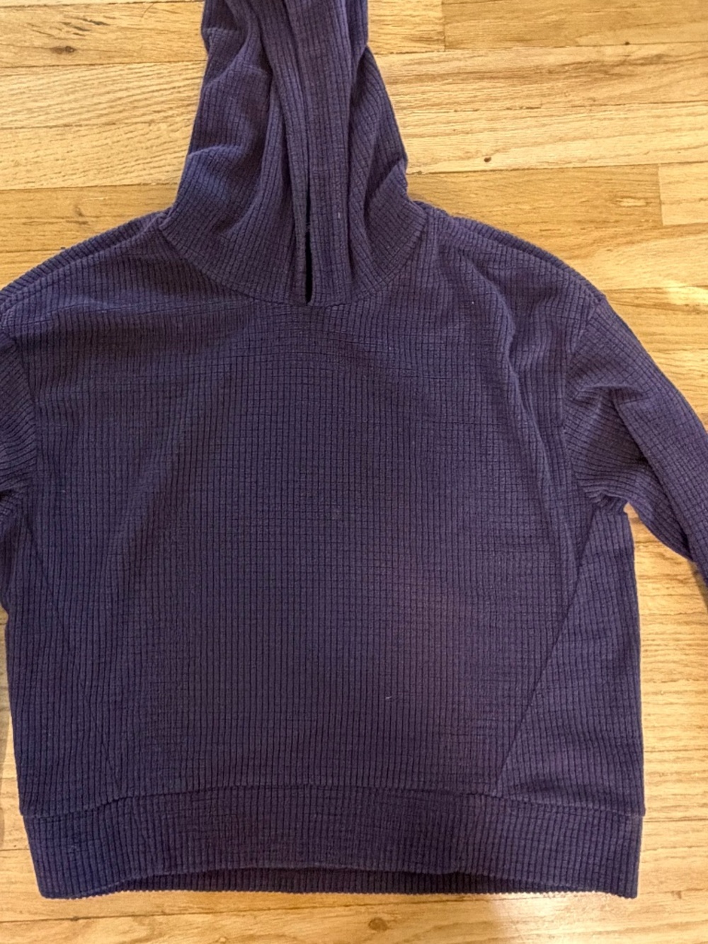 Purple Polartec Microgrid Fleece Hoodie